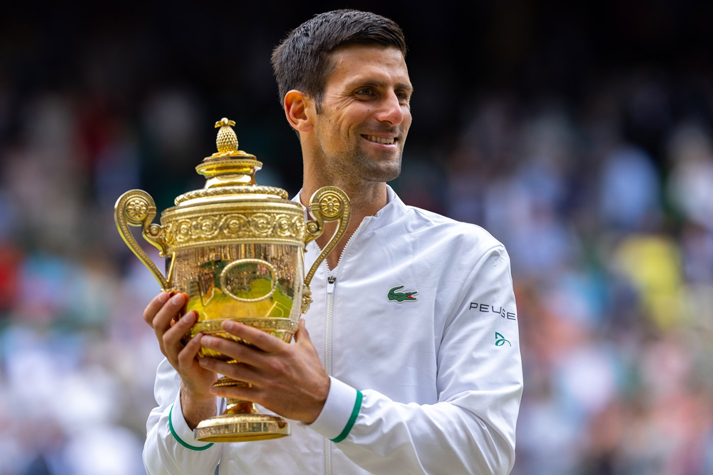 Джокович Уимблдон. Novak Djokovic titles.